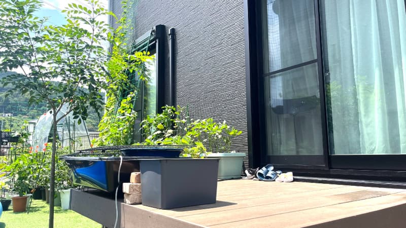 ウッドデッキの掃除とメンテナンス方法