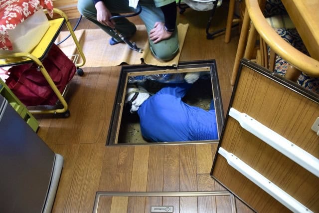 白アリ床下点検
