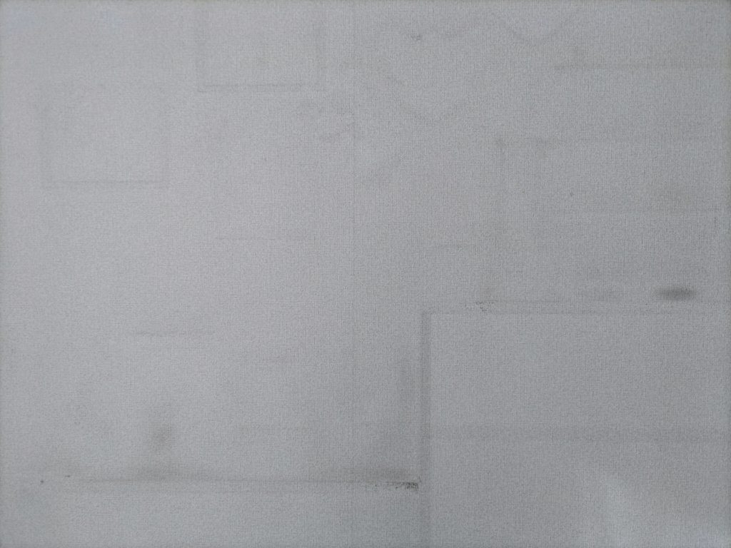 カビの繁殖