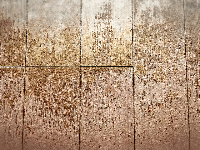 フローリングの剥がれ・ワックスの劣化